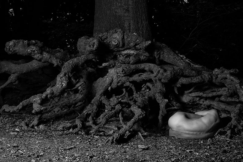08_Im Wald_6520_2019