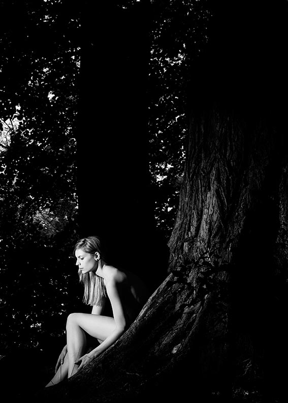 30_Sina_3804_2012